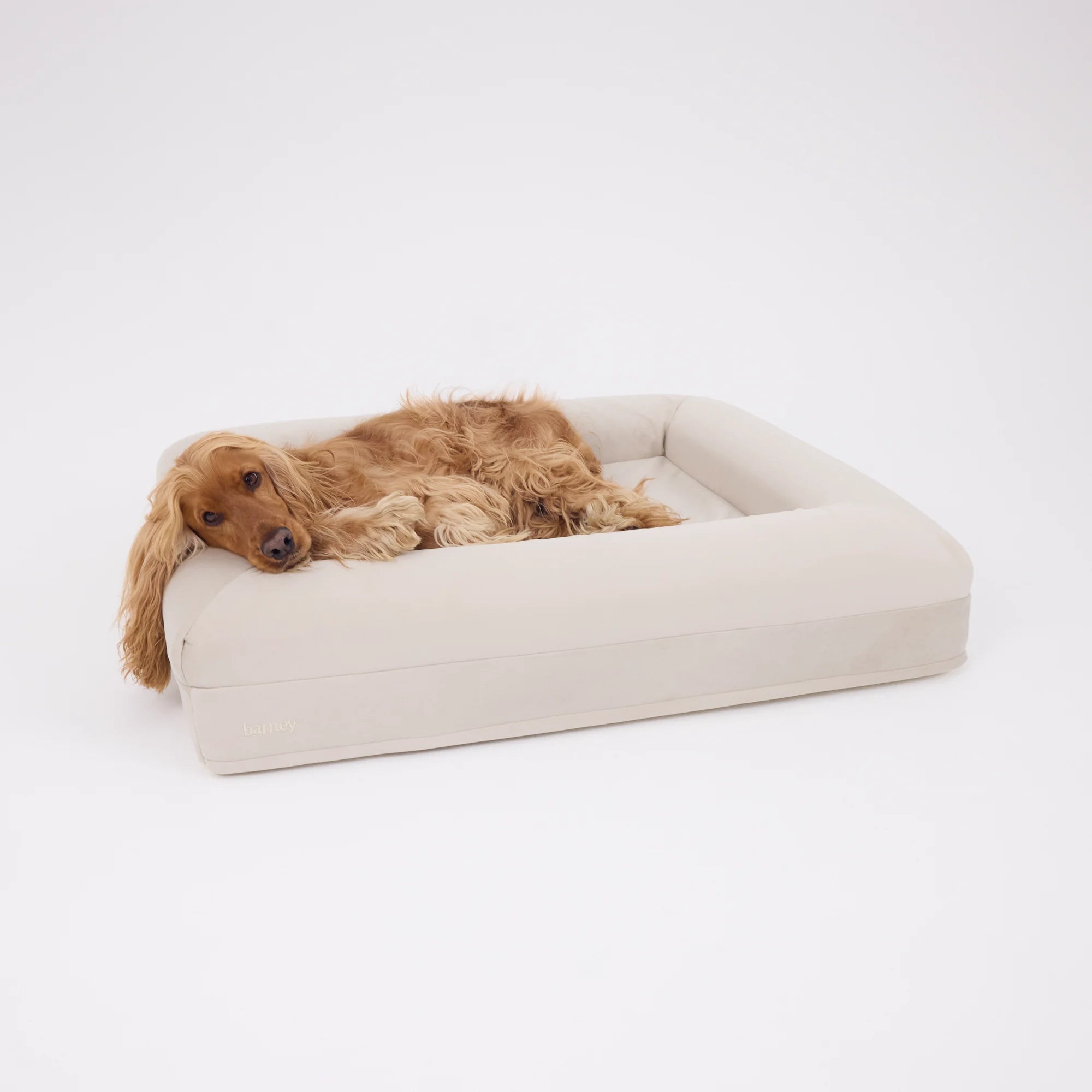 dogbed