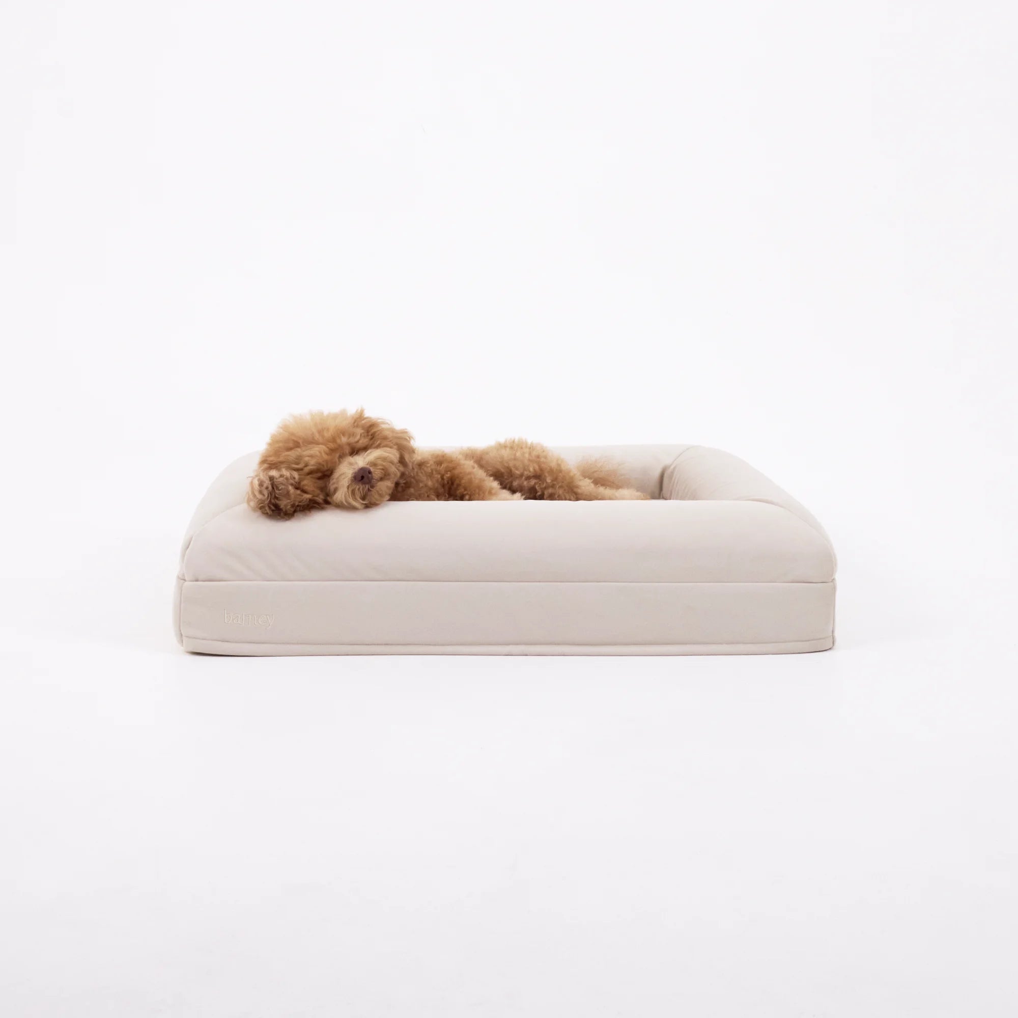 dogbed