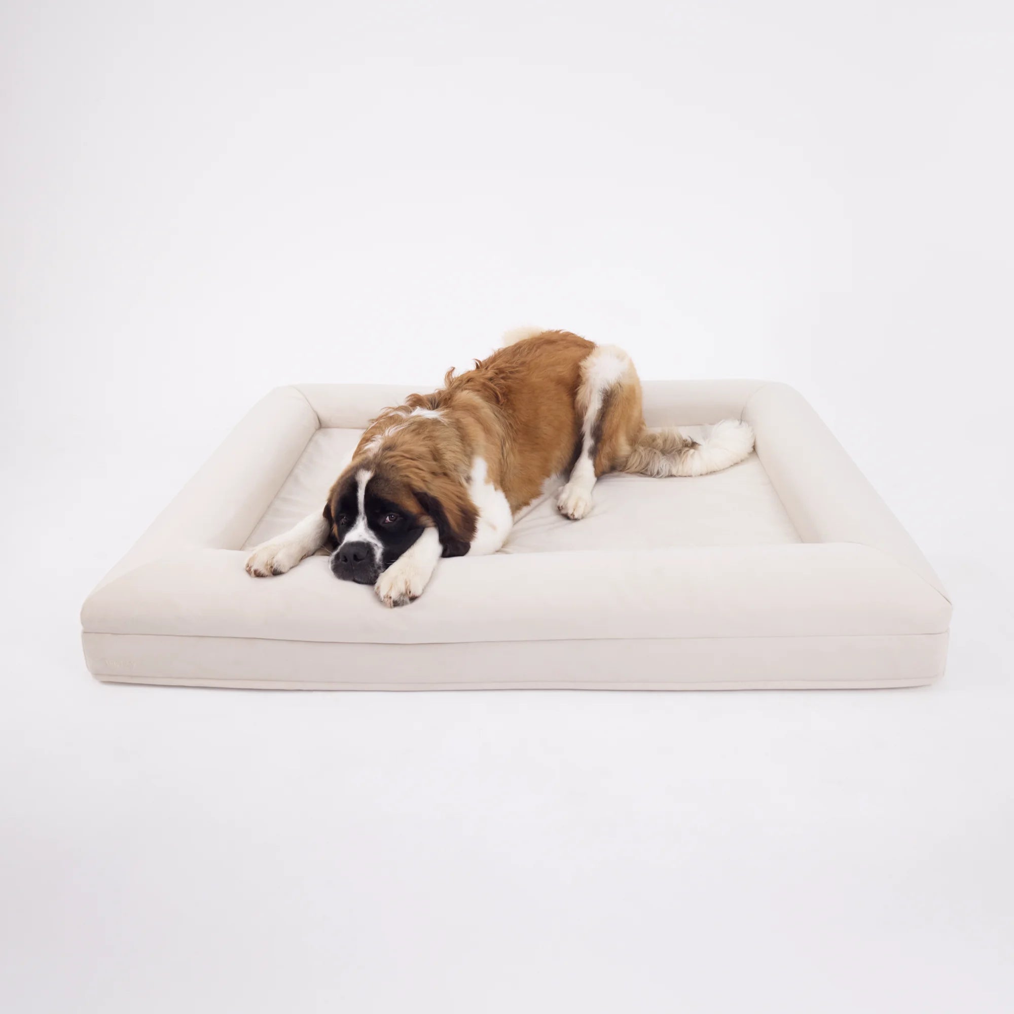 dogbed