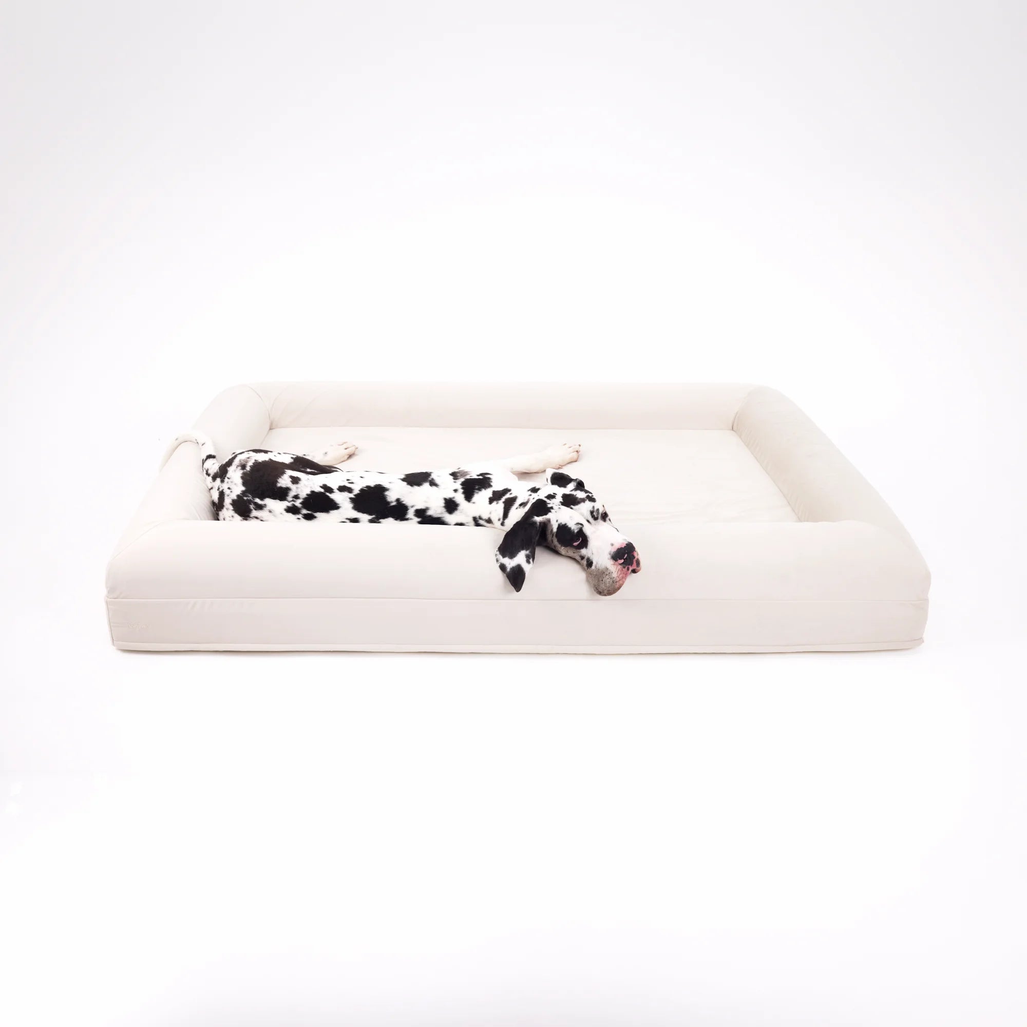 dogbed