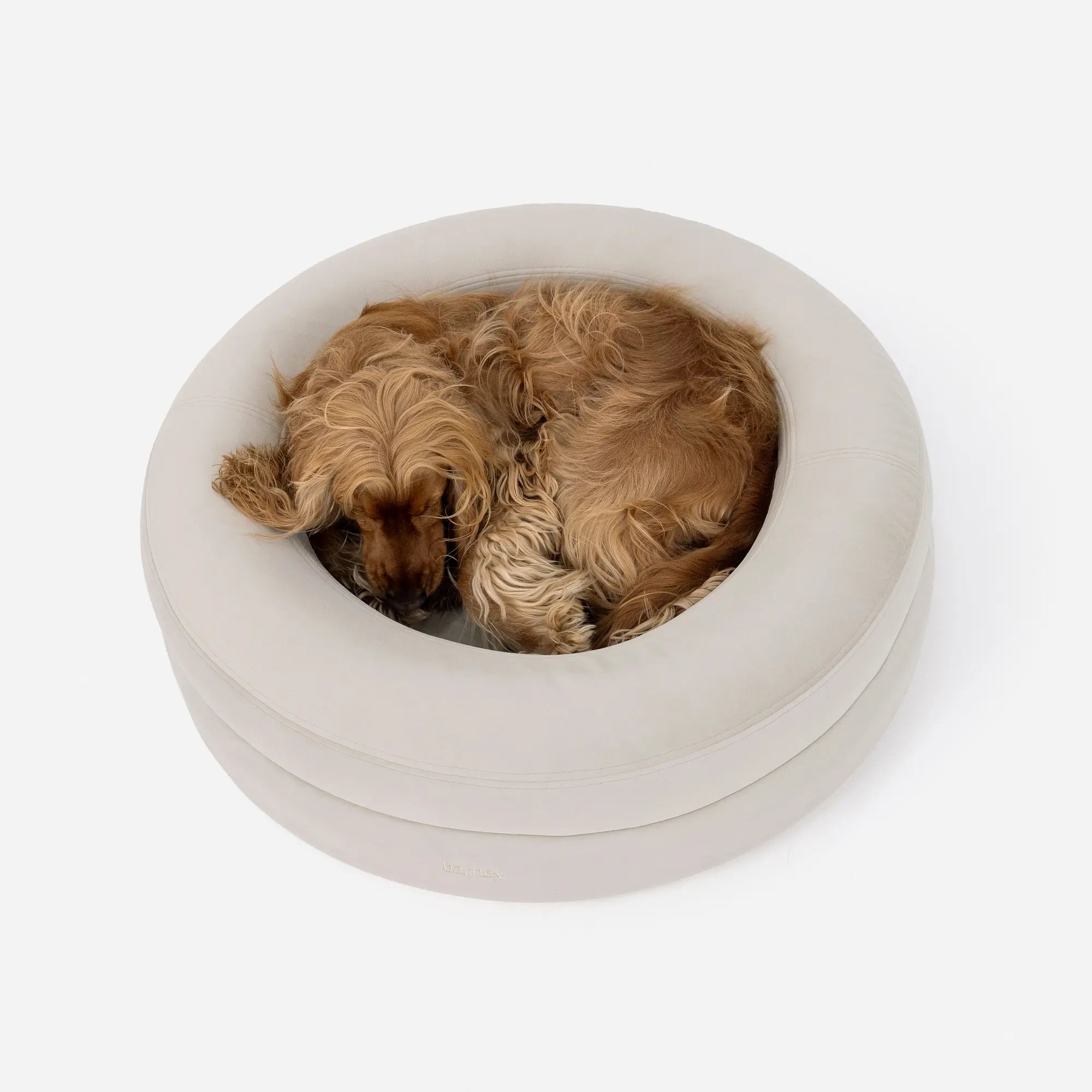 Medium BarneyCurl Bed