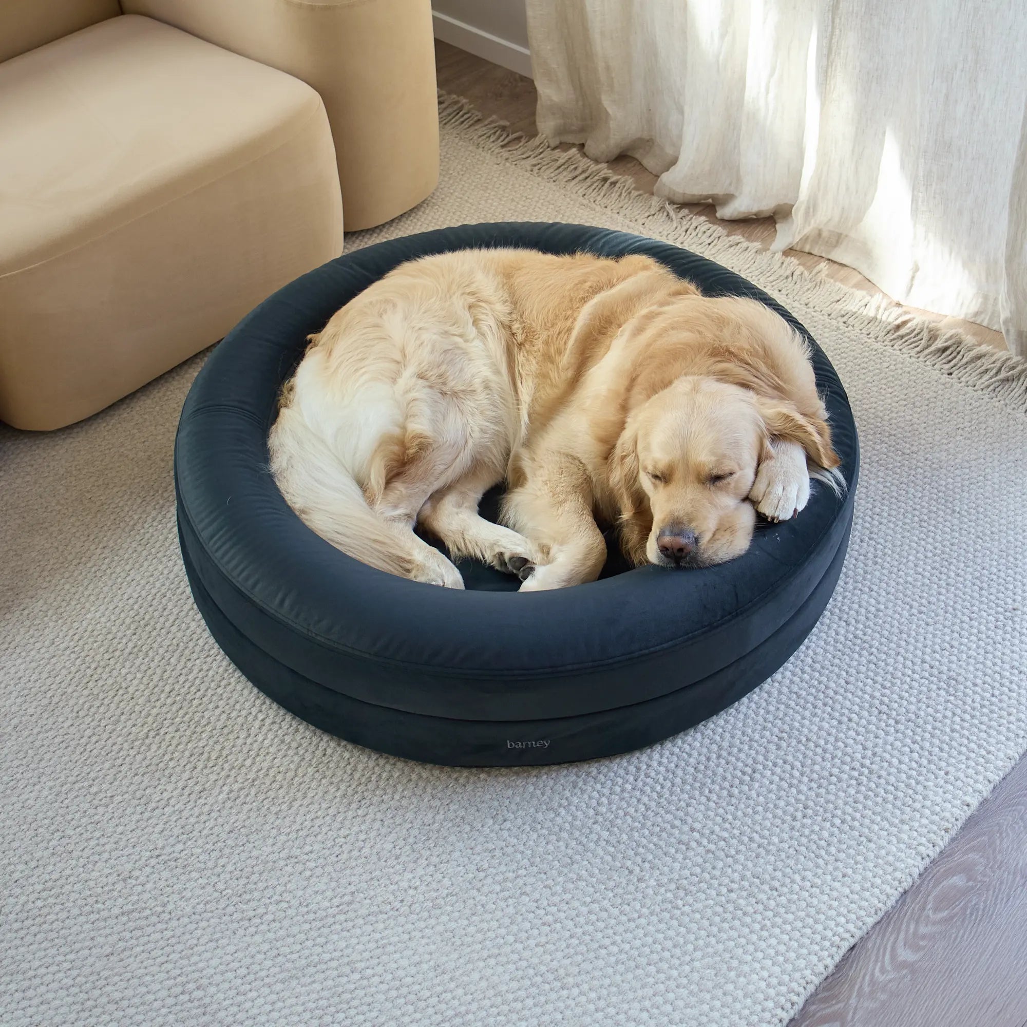 Large BarneyCurl Bed with Signature Cover in Charcoal