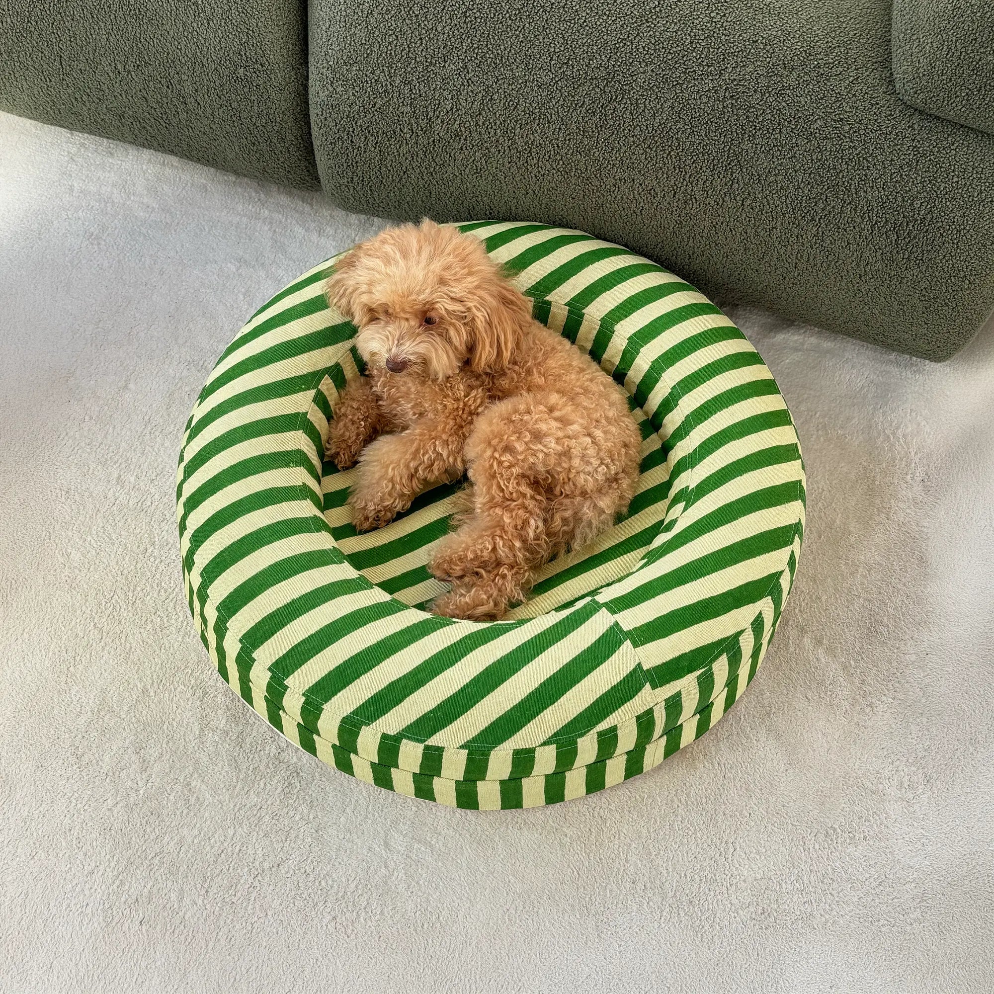 Small BarneyCurl Bed with Linen Cover in Lemongrass