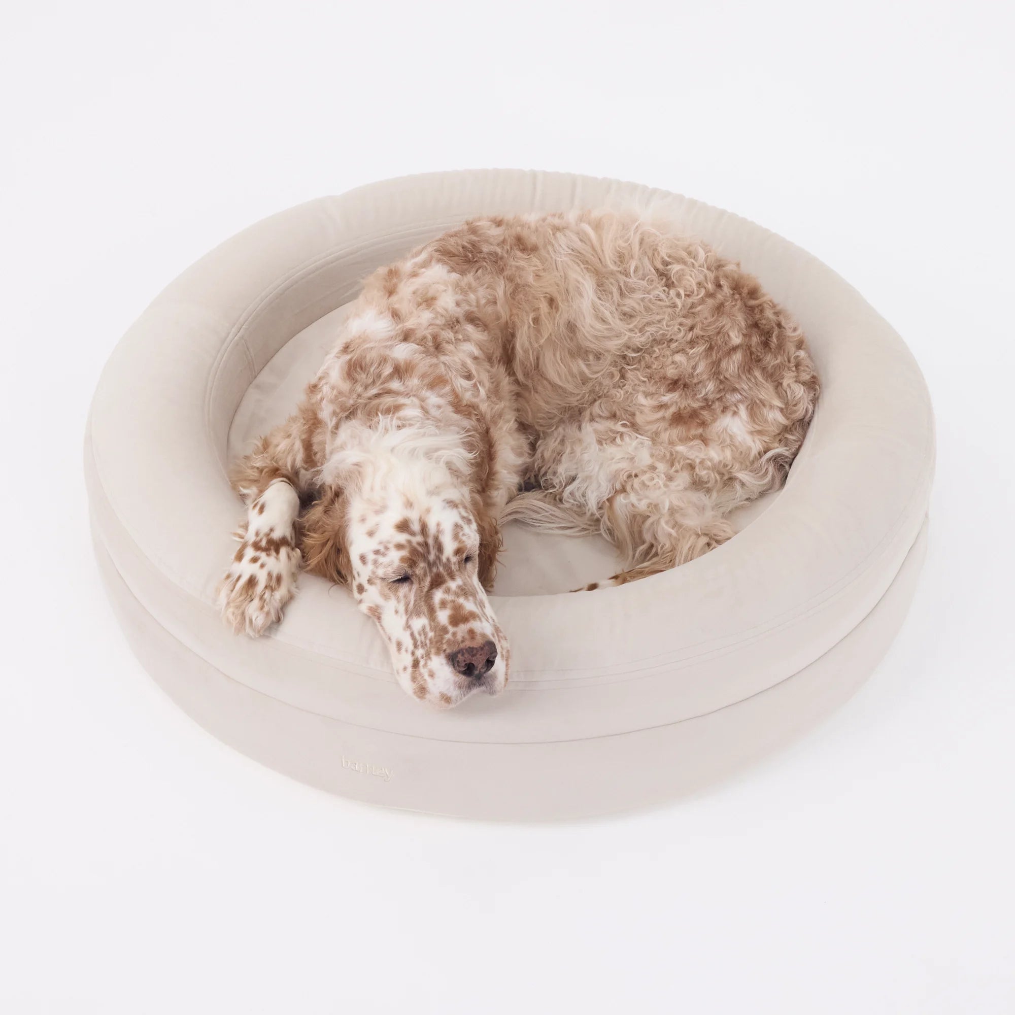 Signature Cover Curl