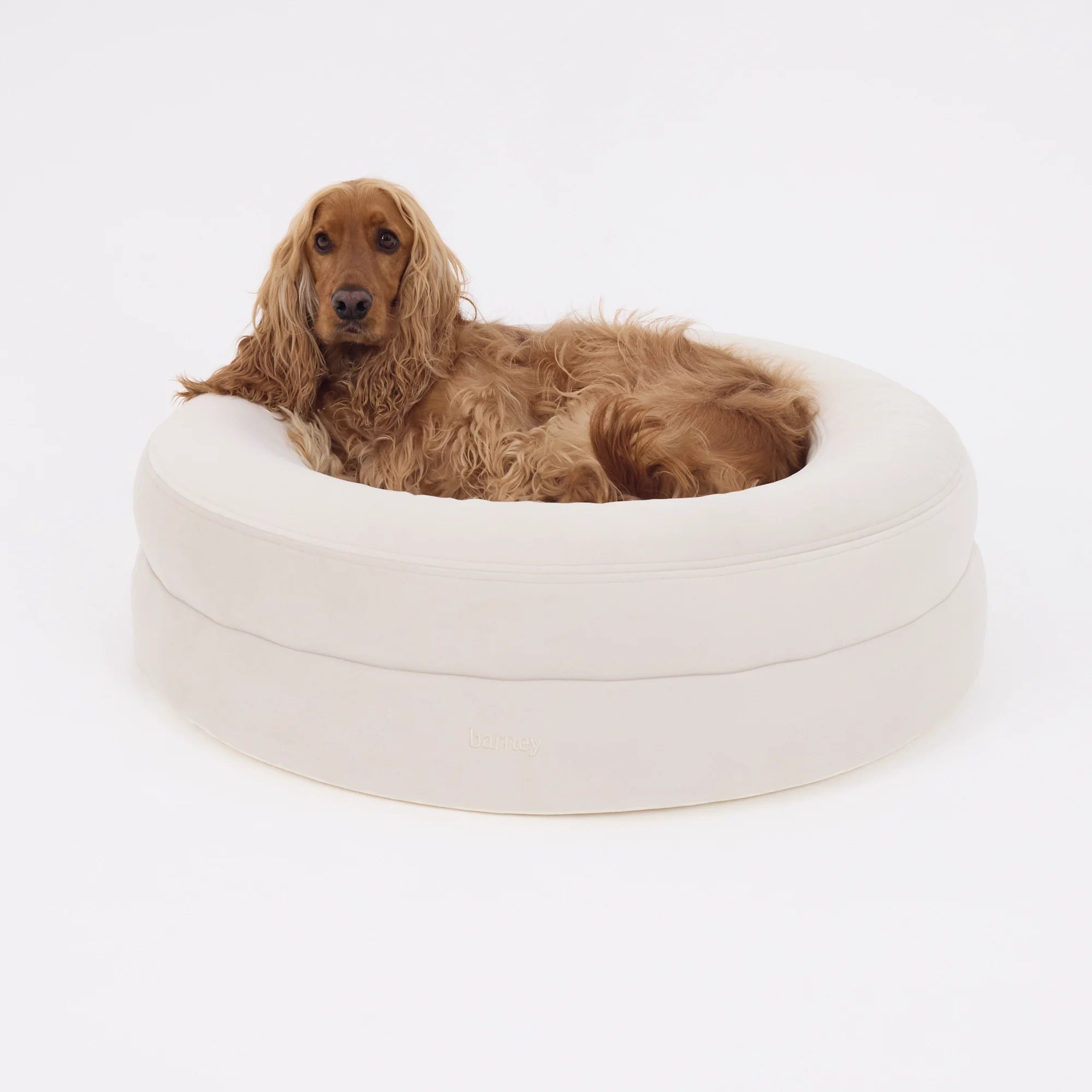 dogbed