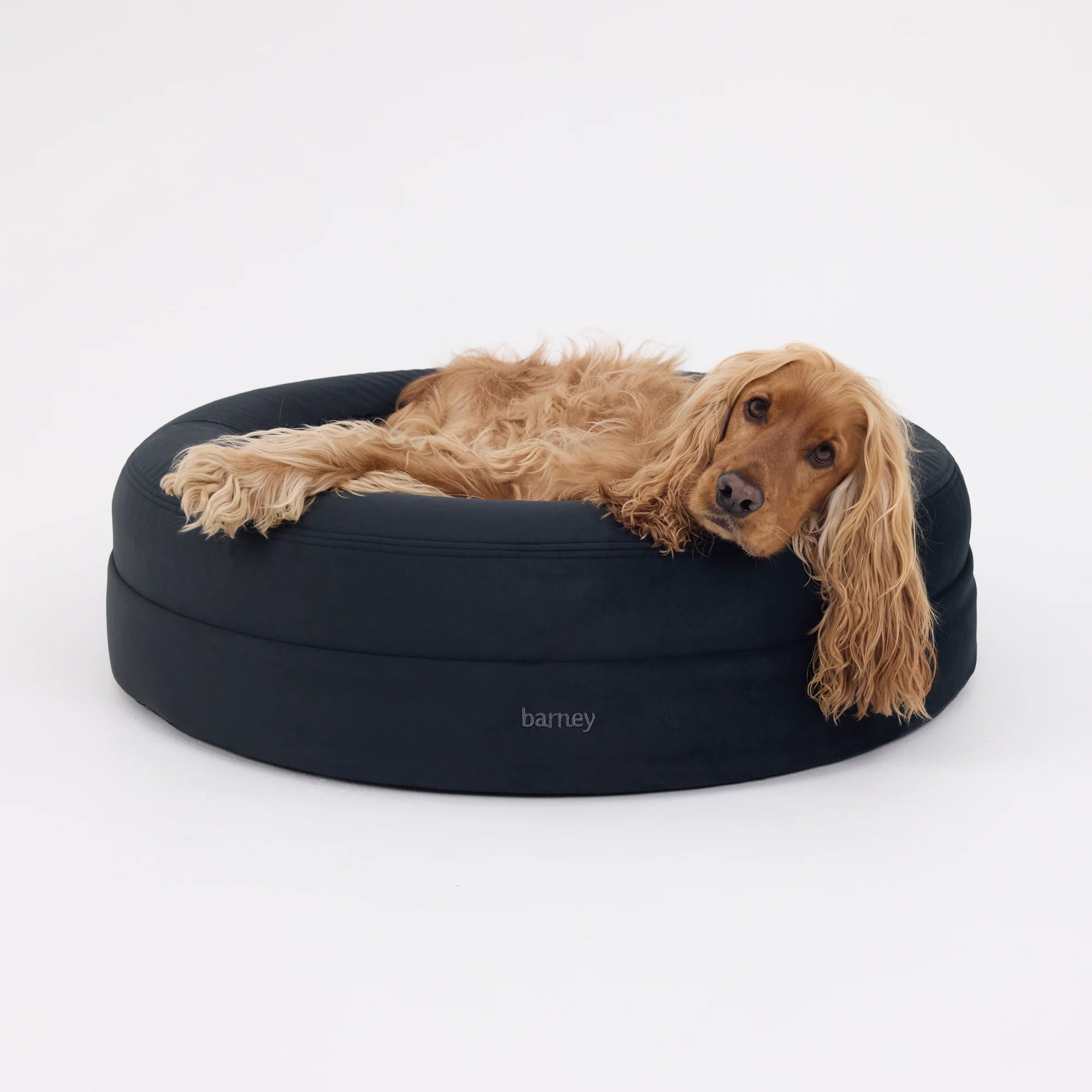 Signature Cover Curl