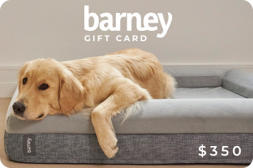 The Barney Bed Gift Card