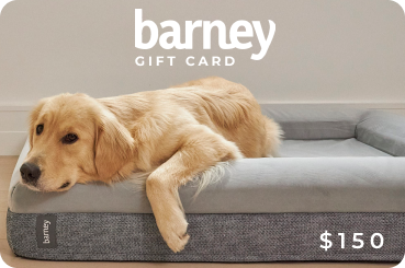 The Barney Bed Gift Card