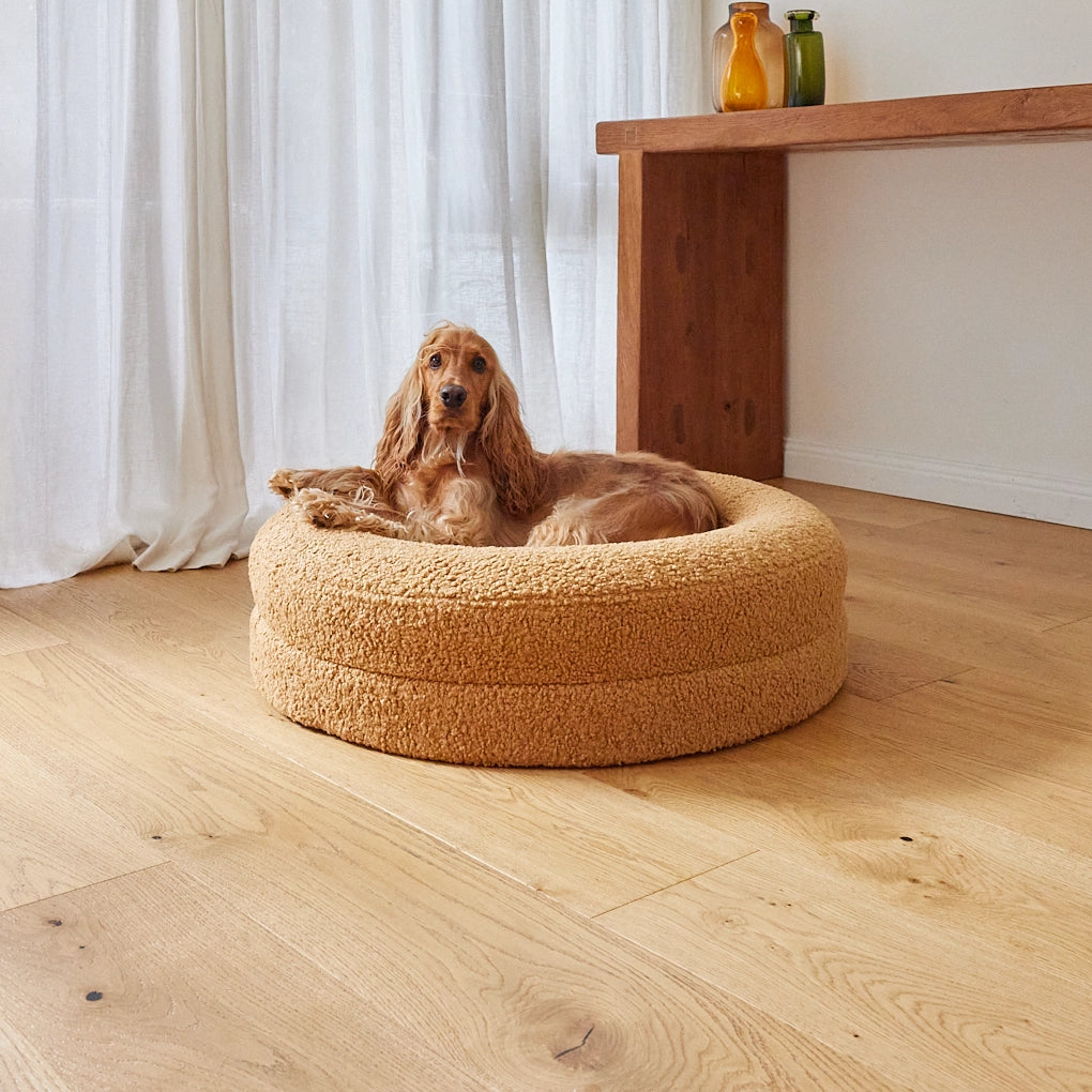 Medium BarneyCurl Bed in Golden Teddy