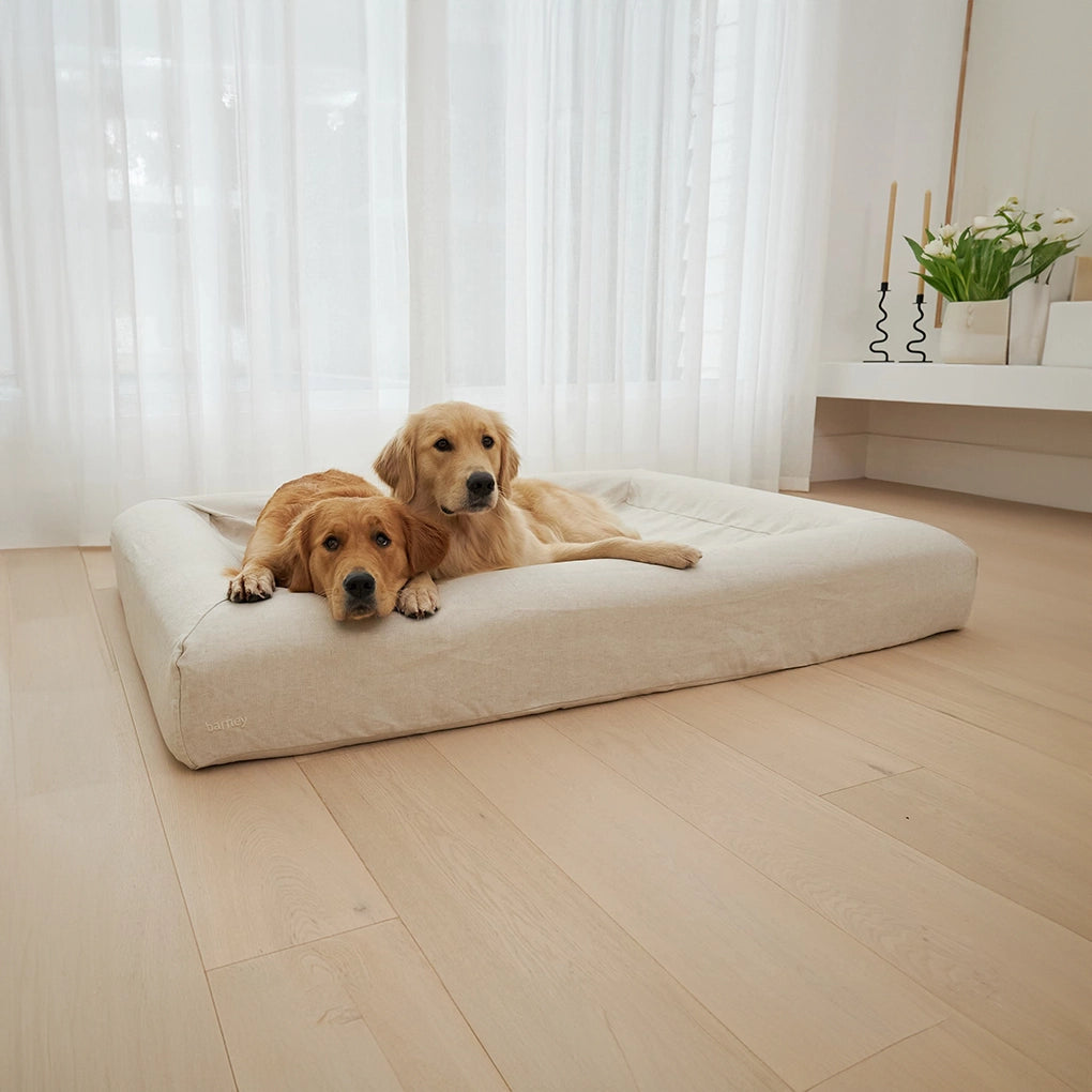 XL Barney Bed with Linen Cover in Oat